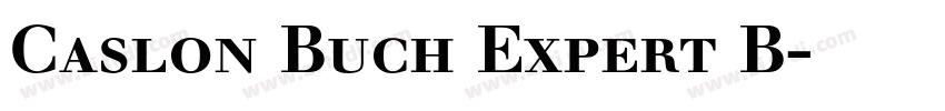 Caslon Buch Expert B字体转换